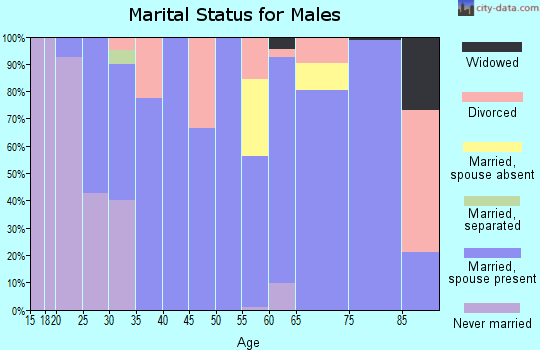 Zip code 97148 marital status for males