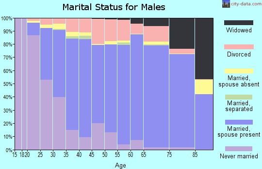 Zip code 97303 marital status for males