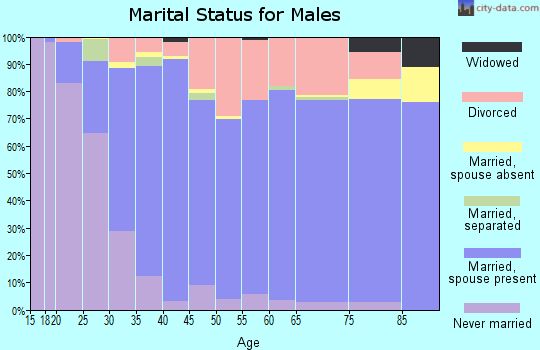 Zip code 97304 marital status for males