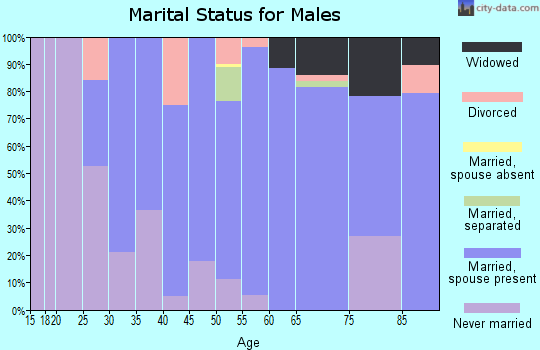Zip code 97341 marital status for males