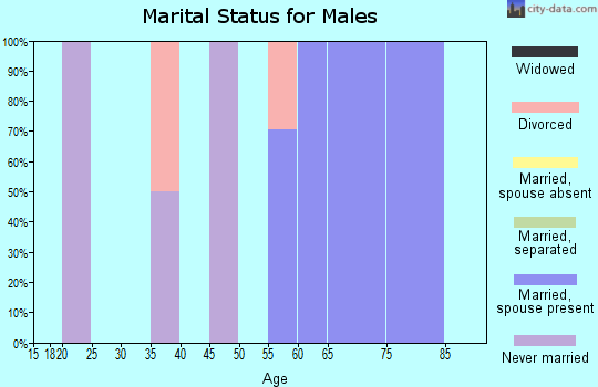 Zip code 97342 marital status for males