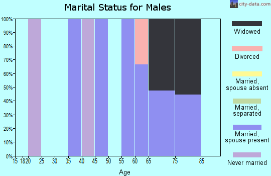 Zip code 97343 marital status for males