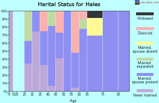 Zip code 97346 marital status for males