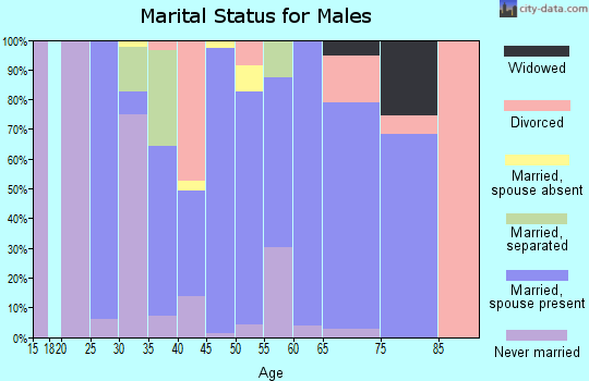 Zip code 97347 marital status for males