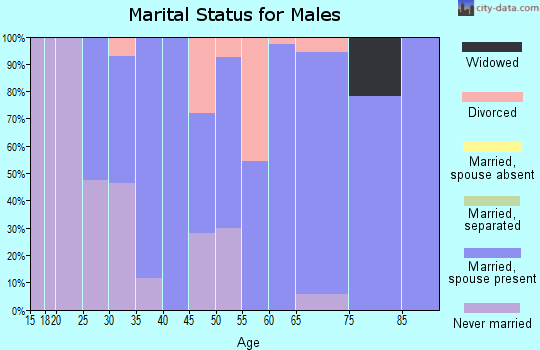 Zip code 97348 marital status for males