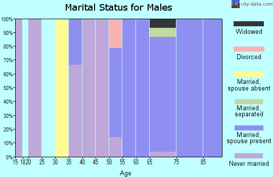 Zip code 97350 marital status for males