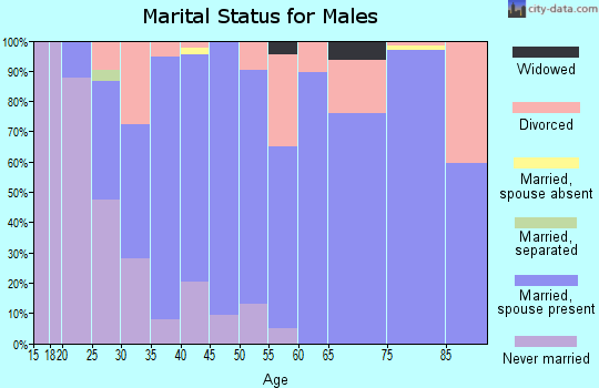 Zip code 97351 marital status for males