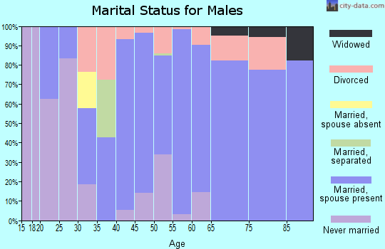 Zip code 97352 marital status for males