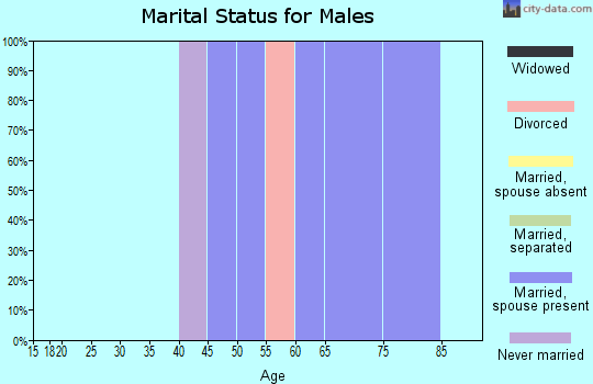 Zip code 97357 marital status for males