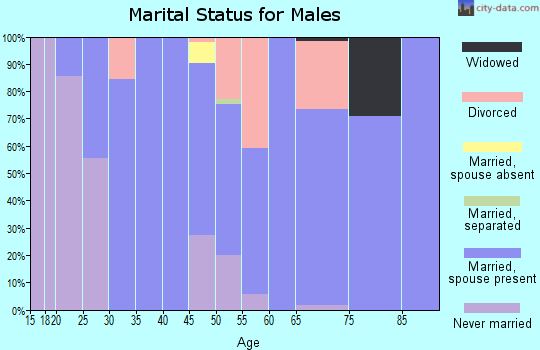 Zip code 97358 marital status for males