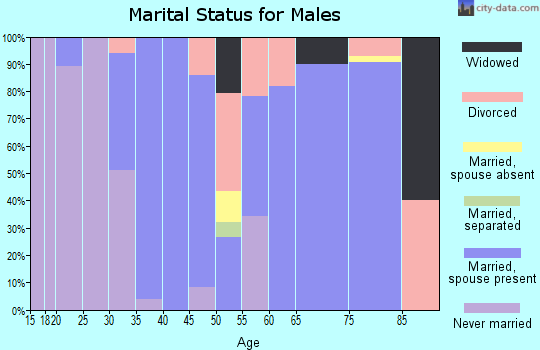 Zip code 97360 marital status for males