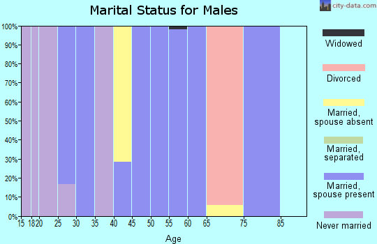 Zip code 97364 marital status for males