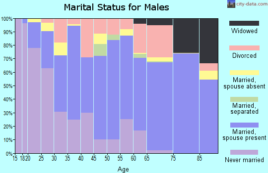 Zip code 97365 marital status for males