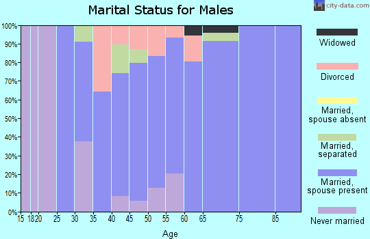 Zip code 97368 marital status for males