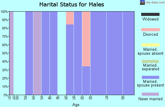 Zip code 97371 marital status for males