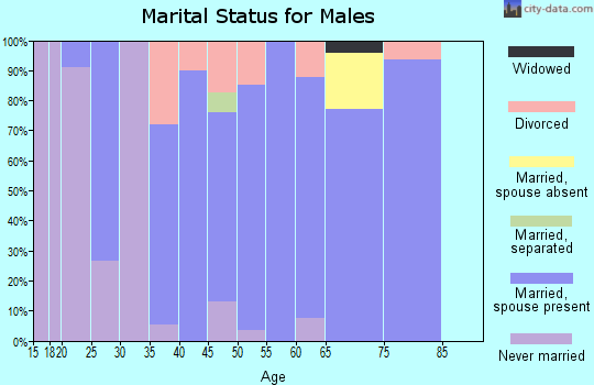 Zip code 97375 marital status for males