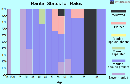 Zip code 97376 marital status for males