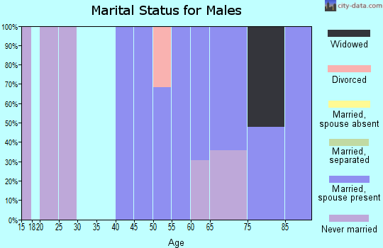 Zip code 97377 marital status for males