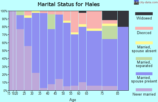 Zip code 97381 marital status for males