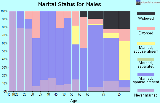 Zip code 97385 marital status for males