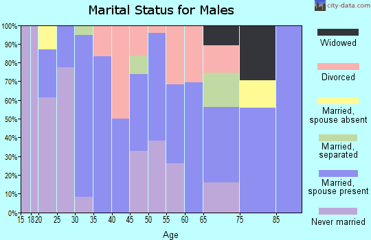Zip code 97389 marital status for males
