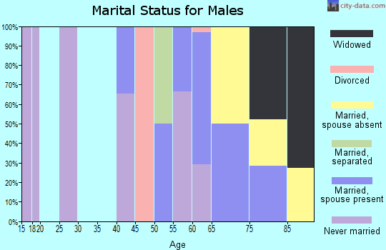 Zip code 97390 marital status for males
