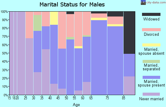 Zip code 97394 marital status for males