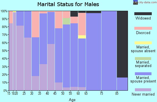 Zip code 97396 marital status for males