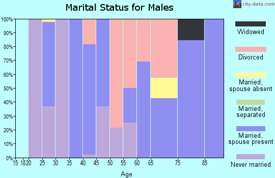 Zip code 97413 marital status for males