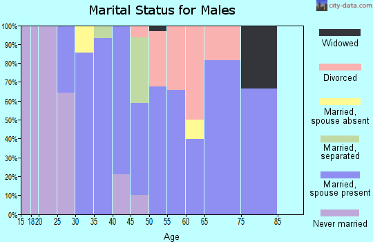 Zip code 97438 marital status for males