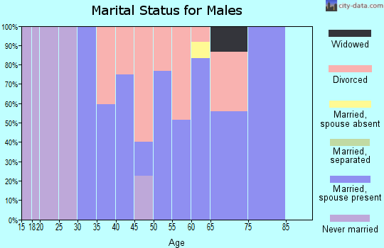 Zip code 97443 marital status for males