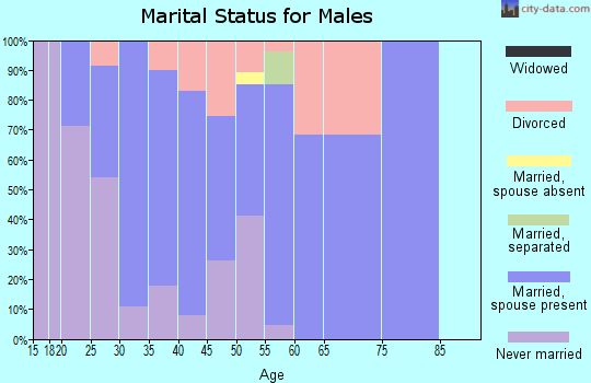 Zip code 97446 marital status for males