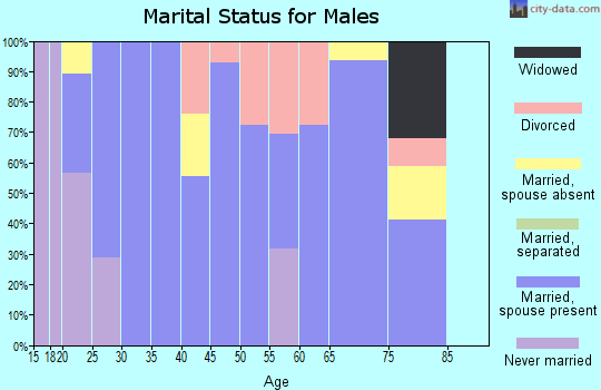 Zip code 97452 marital status for males