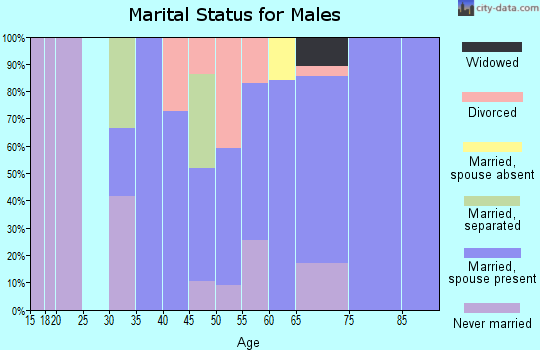 Zip code 97453 marital status for males