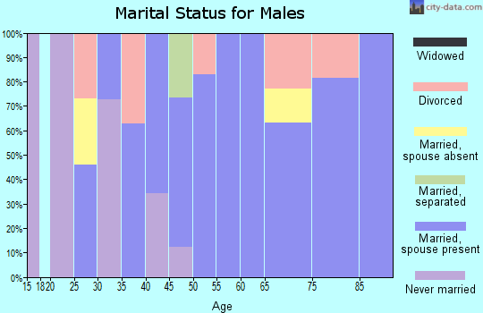 Zip code 97455 marital status for males