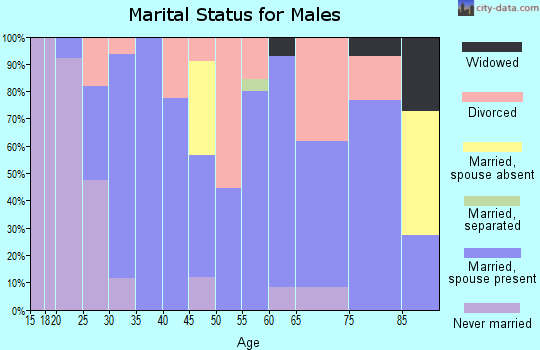 Zip code 97456 marital status for males