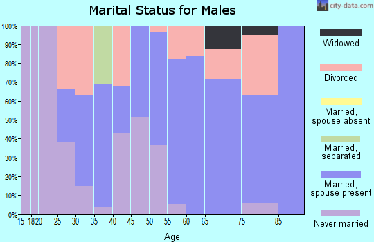 Zip code 97463 marital status for males