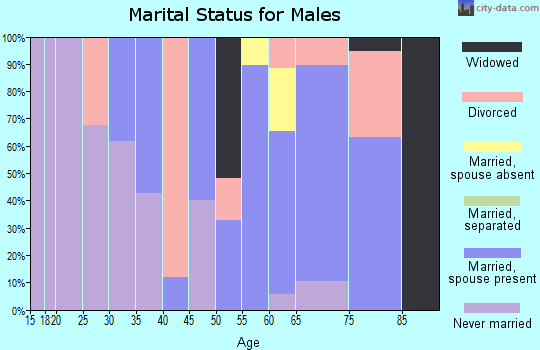 Zip code 97466 marital status for males