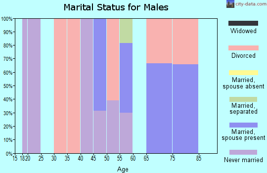 Zip code 97481 marital status for males