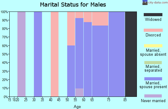 Zip code 97489 marital status for males