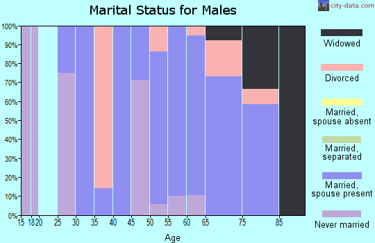 Zip code 97492 marital status for males