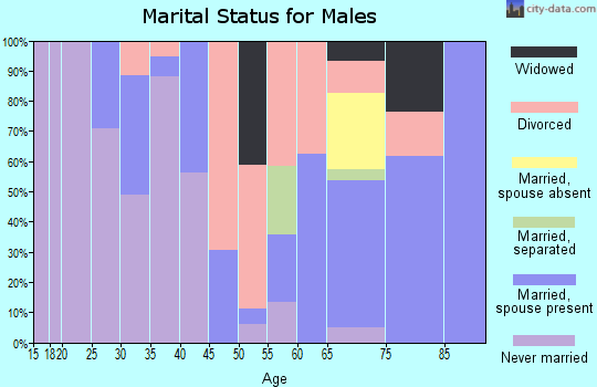 Zip code 97497 marital status for males