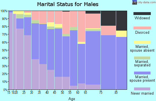 Zip code 97501 marital status for males