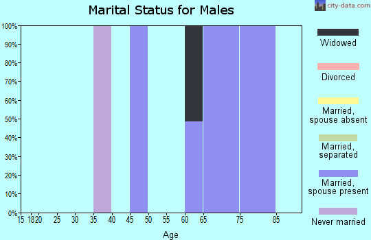 Zip code 97531 marital status for males