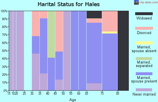 Zip code 97538 marital status for males