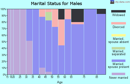 Zip code 97539 marital status for males