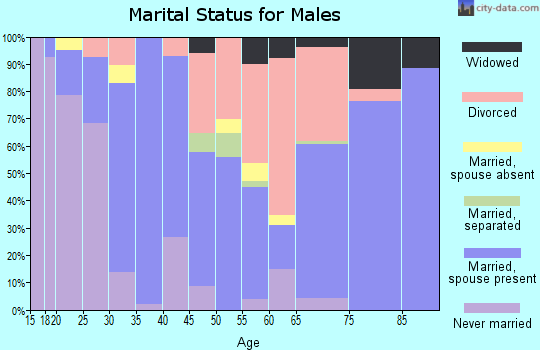 Zip code 97540 marital status for males