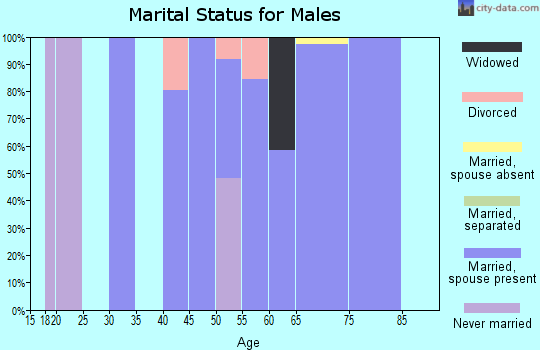 Zip code 97543 marital status for males