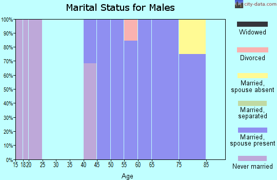 Zip code 97730 marital status for males