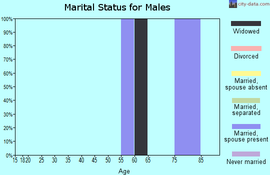 Zip code 97819 marital status for males